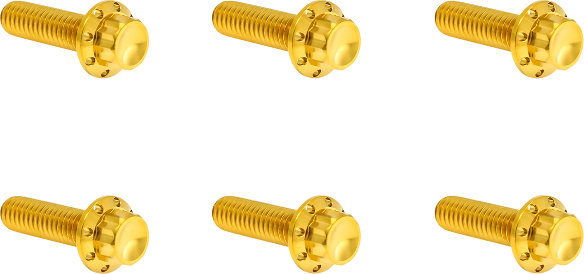 Bolt Kit - Transmission Top Cover - 12-Point - Titanium - Gold (300-949) by Arlen Ness