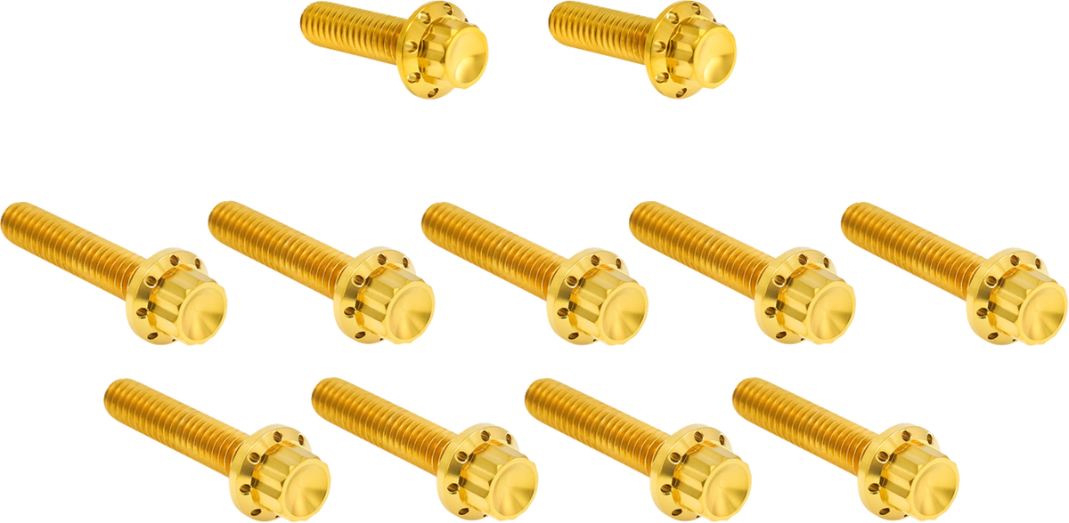 Bolt Kit - Cam Cover/Point Cover - Titanium - 12-Point - Gold (300-982) by Arlen Ness