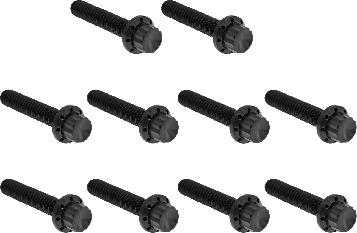 Bolt Kit - Cam Cover/Point Cover - Titanium - 12-Point - Black (300-987) by Arlen Ness
