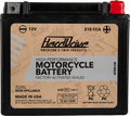 HARDDRIVE YTX20HL 310 CCA AGM motorcycle battery