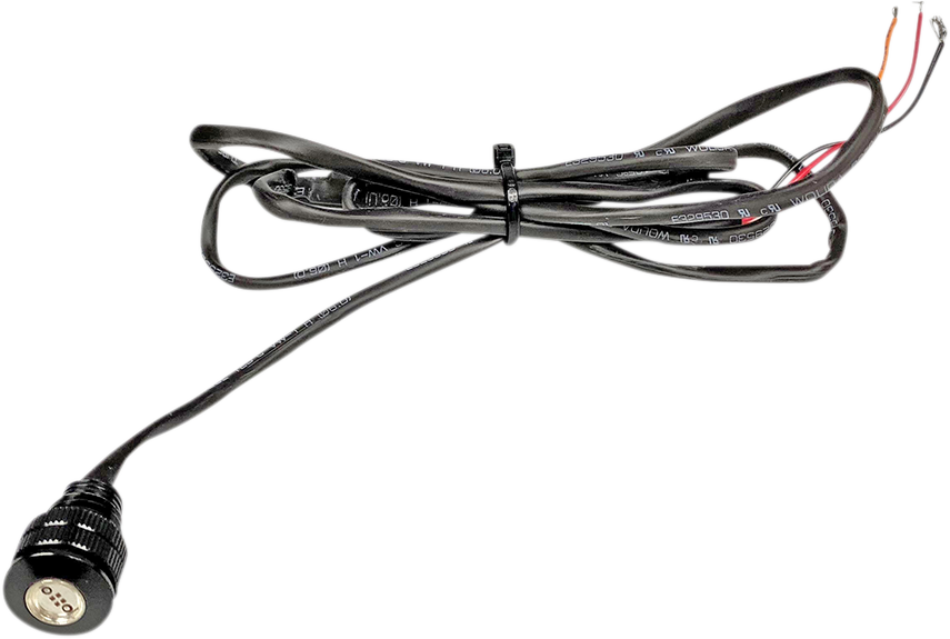 LED Boltz