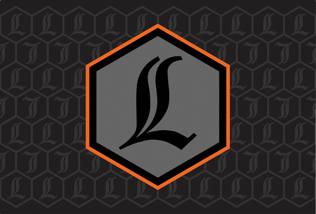 Legend Suspension REVO ARC Canister Decal - Orange — 4320-2401
