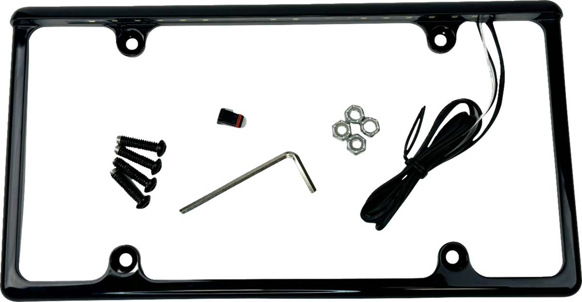 License Plate Frame with LED Tag Illumination