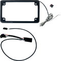 License Plate Frame with Tag Illumination