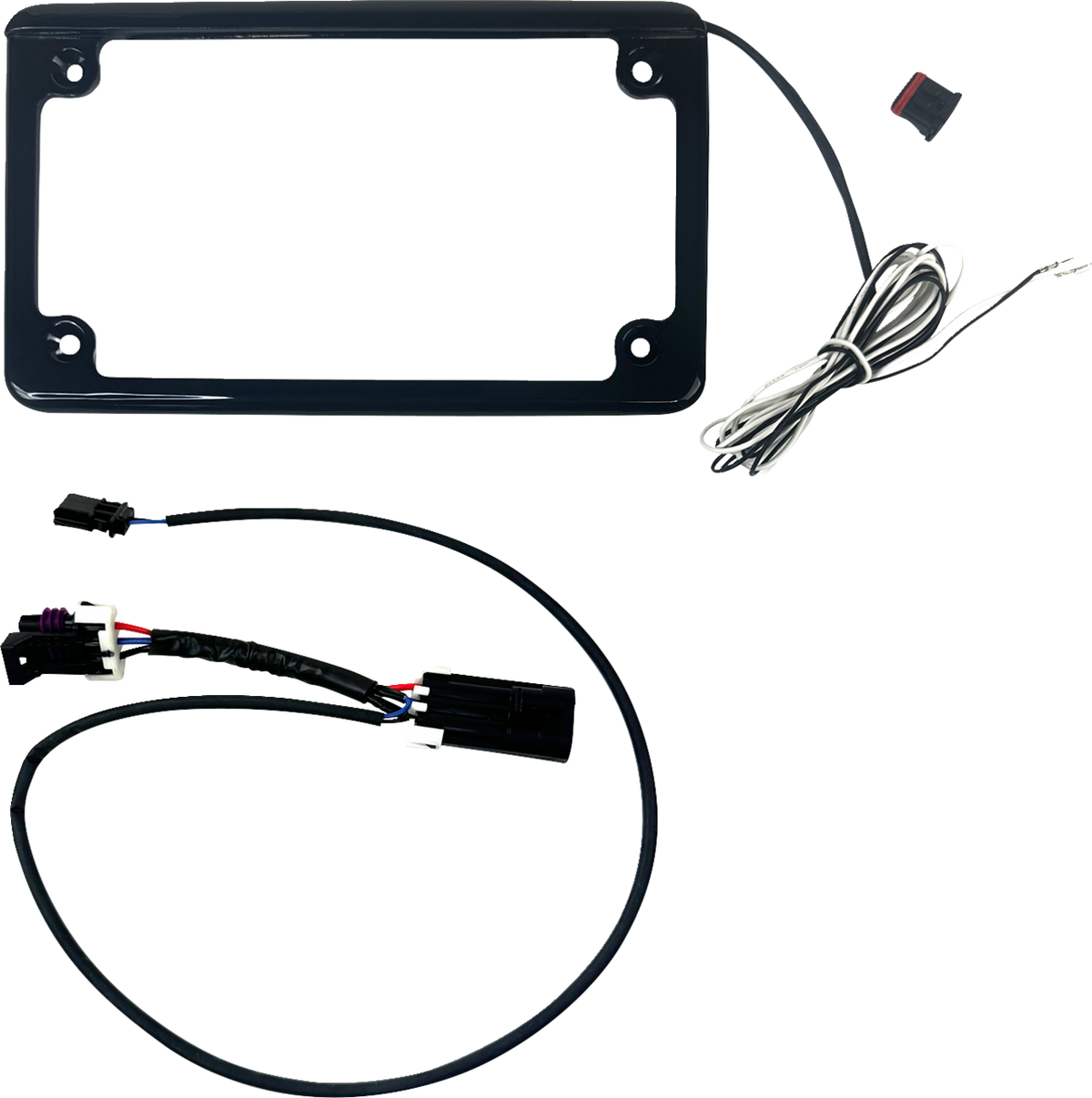 License Plate Frame with Tag Illumination