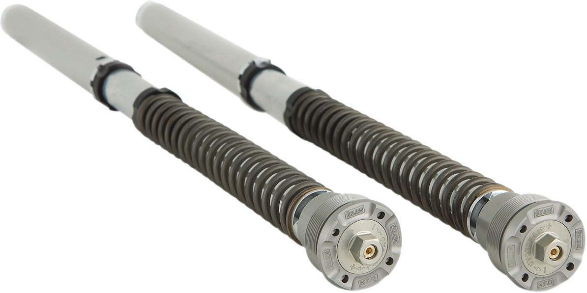 FGK Road/Track 30 mm Front Fork Cartridge Kit by Öhlins