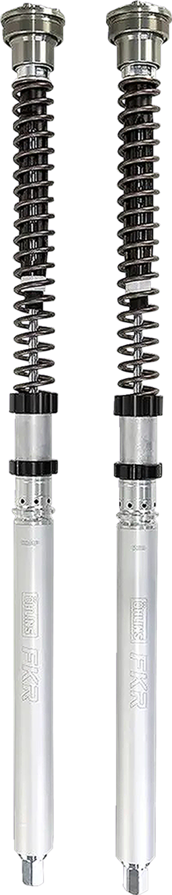 Fork Cartridge Kit by Öhlins
