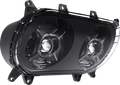 Headlight - FLTR (BNCH) by Paul Yaffe Bagger Nation