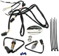 VFI Closed Loop Sensor Kit by S&S Cycle
